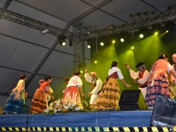 Festival de Folkore en Mula